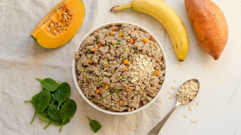 Microbiome Friendly Dog Meal Plan That Fixes Gut Trouble From The Inside Out