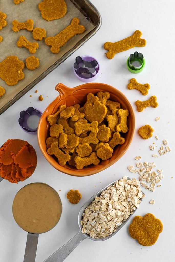 Healthy Pumpkin Dog Biscuits