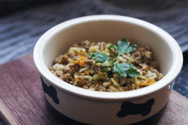 Prescription-Style Renal Diet for Dogs with Kidney Disease