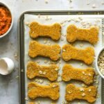 Easy Homemade Pumpkin Dog Treats Recipe