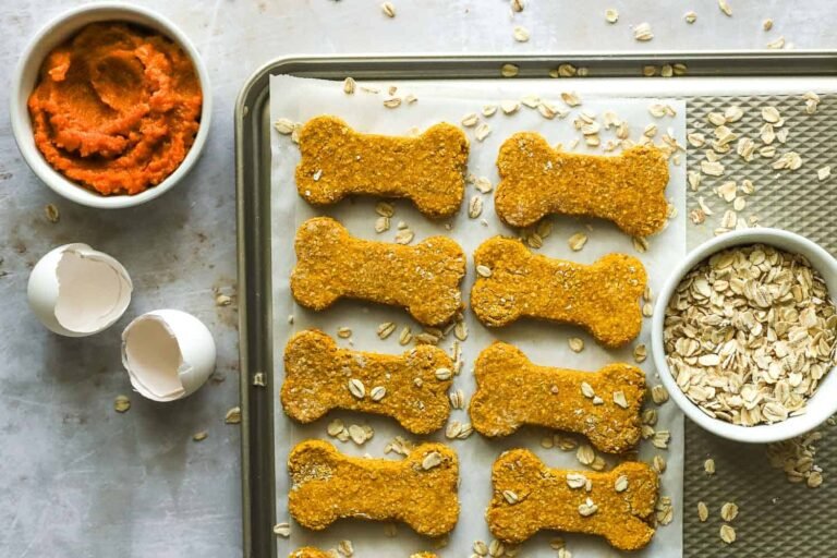 Easy Homemade Pumpkin Dog Treats Recipe