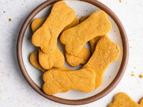 6 Pumpkin Peanut Butter Dog Treat Recipes