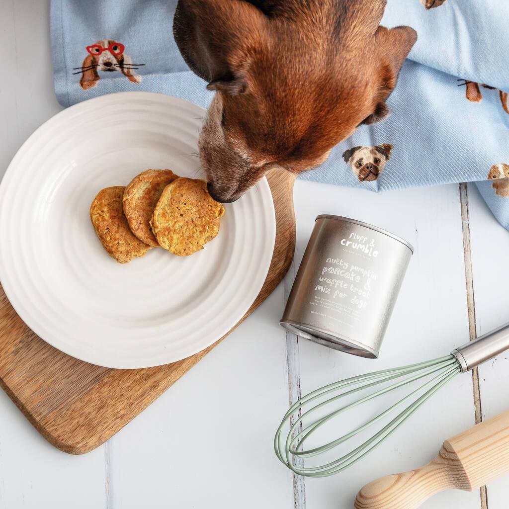 Easy 3-Ingredient Pumpkin Pancakes for Dogs