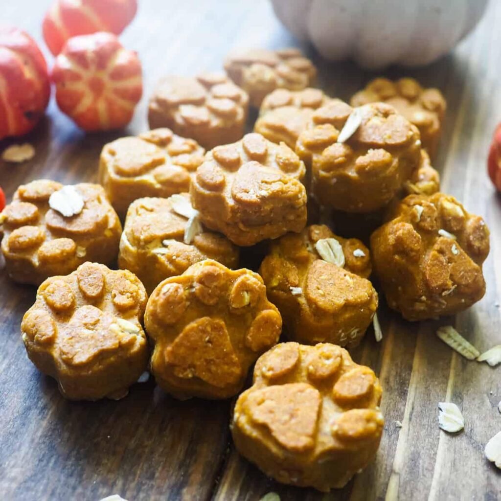 6 Pumpkin Peanut Butter Dog Treat Recipes