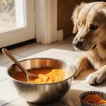 Is Pumpkin Safe for Dogs?