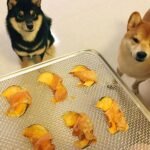 Dehydrated Pumpkin Dog Treats