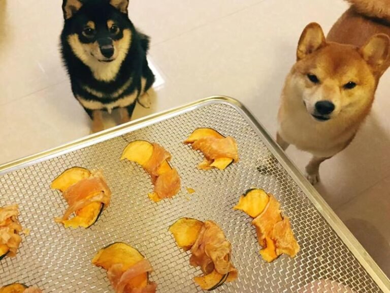 Dehydrated Pumpkin Dog Treats